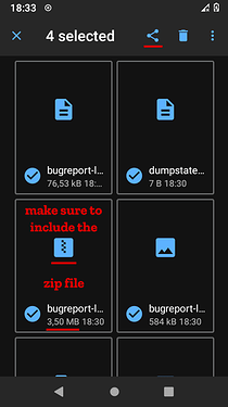 bugreport_3342_Files