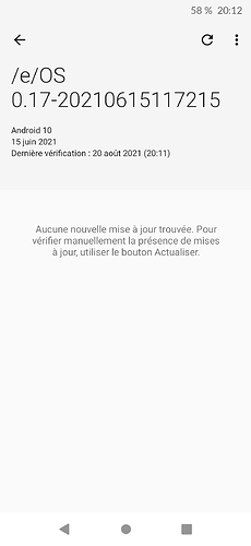 Screenshot_20210820-201214_Gestionnaire_de_mise_à_jour