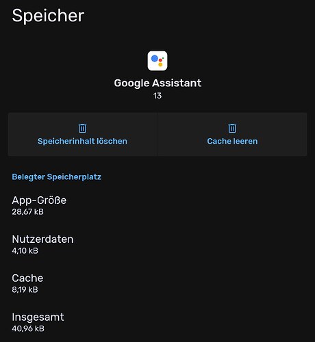 Google Assistant #1