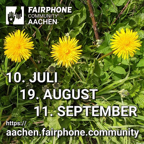 Drei LÃ¶wenzahn-Blumen in voller BlÃ¼te inmmitten von BlÃ¤ttern und Stielen anderer Pflanzen. DarÃ¼ber das Logo der Fairphone Community Aachen. In der Mitte die Termine 10. Juli, 19. August und 11. September. Ganz unten die URL https://aachen.fairphone.community