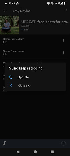 Screenshot_20250606-014341_Music
