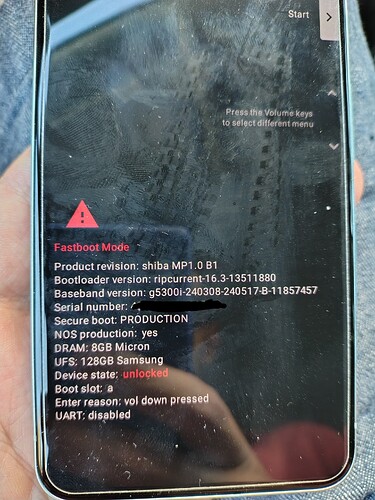 1000017637