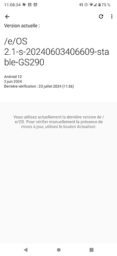 Screenshot_20240724-110835_Gestionnaire de mise à jour