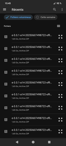 Screenshot_20250612-154544_Fichiers