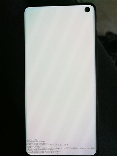 Whole Screen