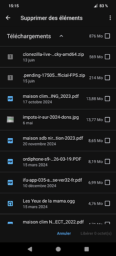 Screenshot_20250615-151509_Gestionnaire d'espace de stockage
