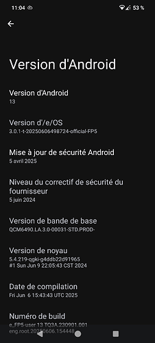 Screenshot_20250611-110456_Paramètres