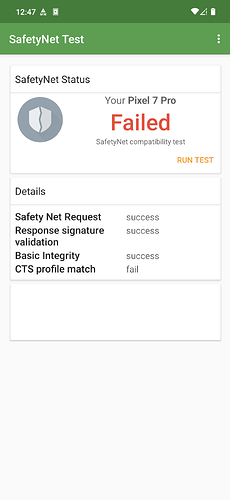 Screenshot_20240704-124744_SafetyNet Test