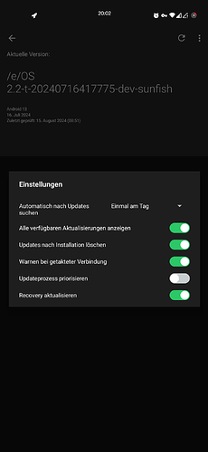 Screenshot_20240815-200253_Updater
