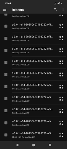Screenshot_20250612-154617_Fichiers