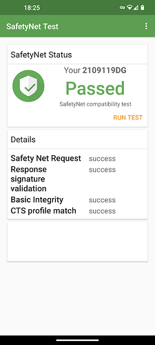 Screenshot_20240318-182538_SafetyNet Test