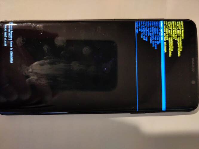 Samsung_Android_reboot_screen