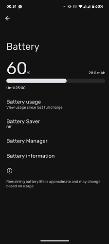 1000001063