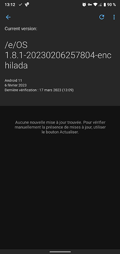 Screenshot_20230317-131232_Gestionnaire_de_mise_à_jour