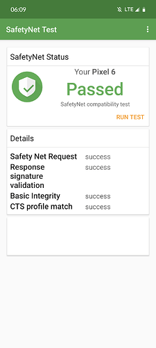 Screenshot_20240325-060915_SafetyNet Test