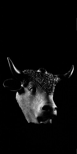 head