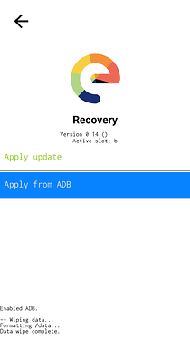 e-Recovery